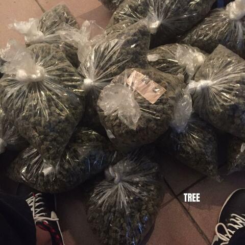 we trynna win