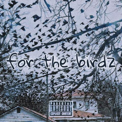 for the birdz