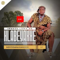 Ngizokujolela (feat. Two liter & Home affairs)