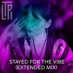 Stayed For The Vibe (Extended Mix)