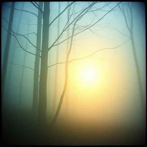 Light Within