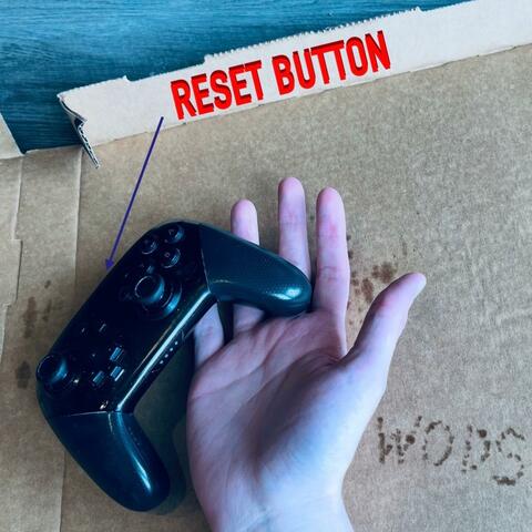 Reset Button