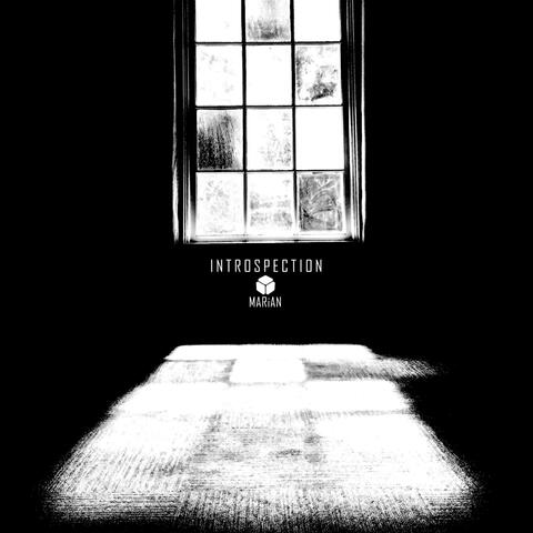 Introspection