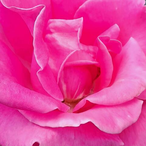 never knew i was a goldmine