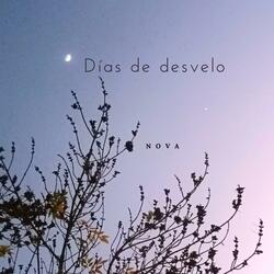 Días de desvelo