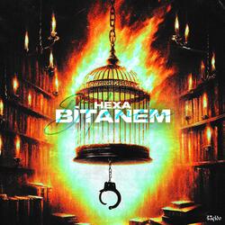 BİTANEM