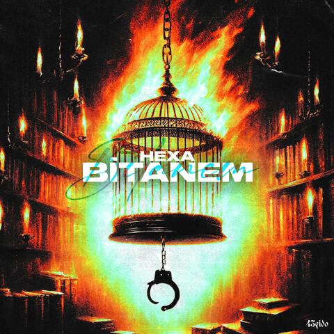 BİTANEM