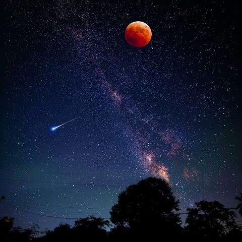 moon dreams and coffee beans