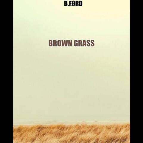 Brown Grass