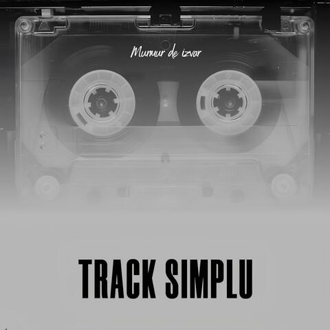 Track Simplu