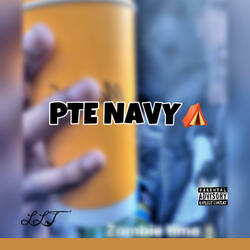 PTE NAVY (feat. Paperteam Marion)