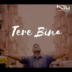 Tere Bina