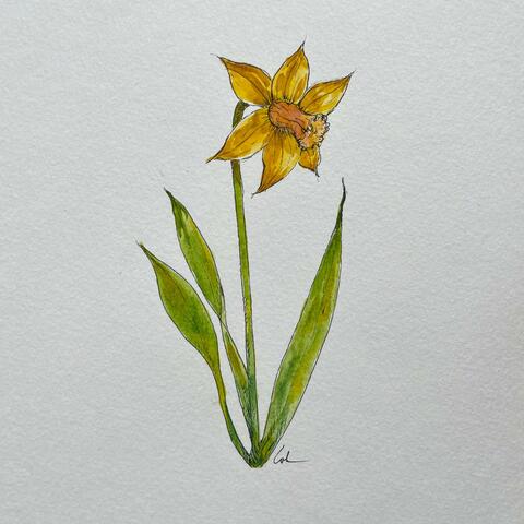 Spring Flowers, Vol. 1
