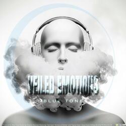 Digital Haze (feat. Stephan Boccioni)