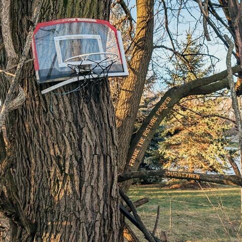 Frame the Picture Proper (feat. Tali Rodriguez, Sankofa & Chef Mike)