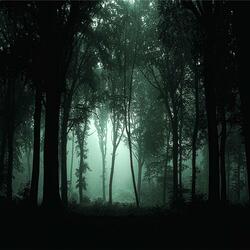 tear (with Avxry's Arch!ve) (feat. Avxry's Arch!ve)