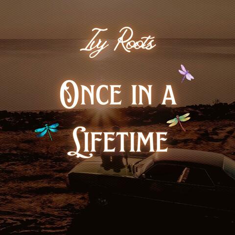 Once in a Lifetime