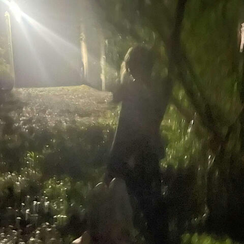 Late Nights