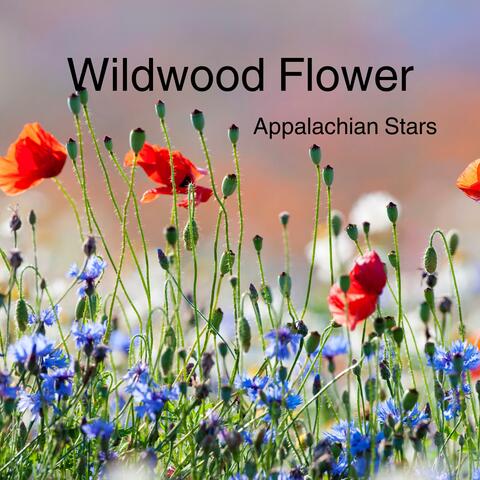 Wildwood Flower