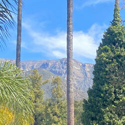 Ojai Hills