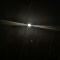 Lately (feat. 3rdeyety)