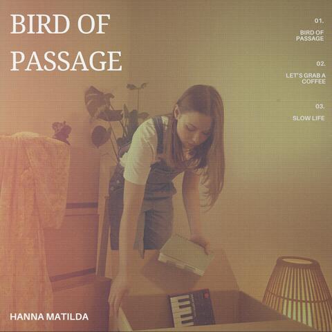 Bird Of Passage