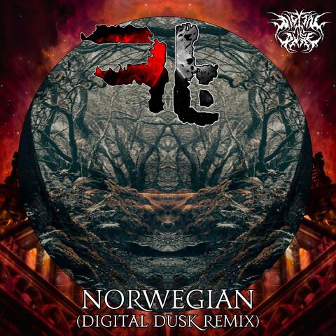 Norwegian (Digital Dusk Remix)