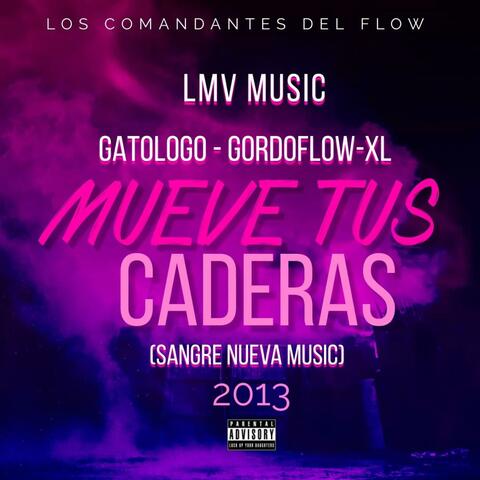 MUEVE TUS CADERAS 2013 (feat. GATOLOGO, XL & GORDOFLOW)