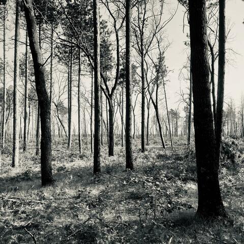 BBY (Hate Being Here Without U)