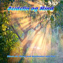 In Many Ways (feat. Carsten Rind)