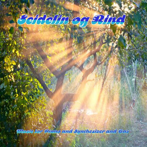 Music for Piano and Synthesizer and Bas