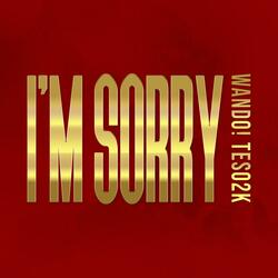 I'M SORRY (feat. TESO2K)