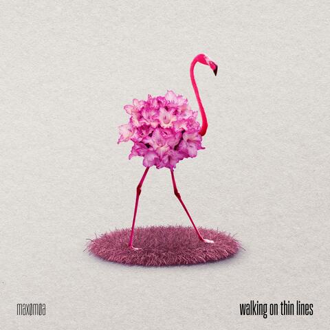 walking on thin lines