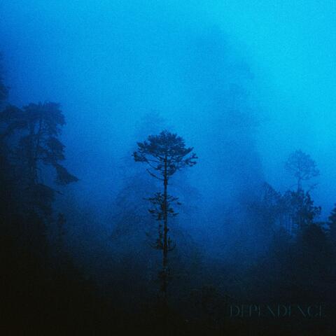 DEPENDENCE