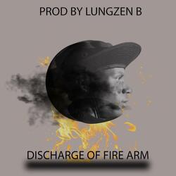 Discharge Of Fire Arm 2.0 & Shebe Vocal