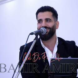 Gul De Pa Zulfo (feat. Bahir Amiri)