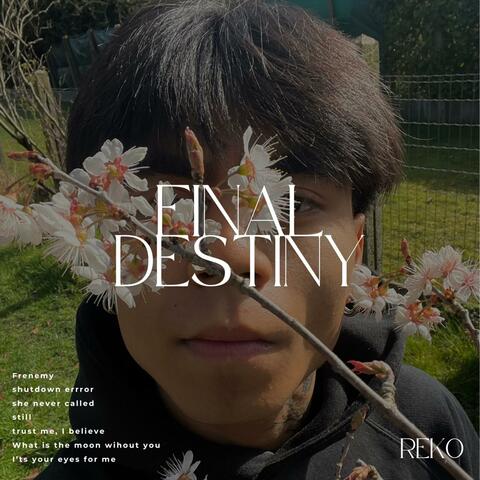 FINAL DESTINY