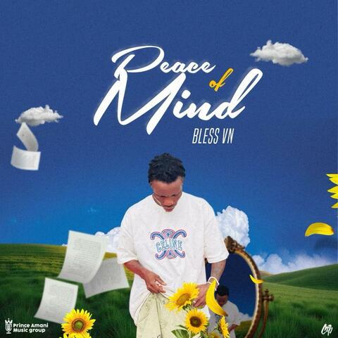 Peace of mind (feat. Bless Vn)