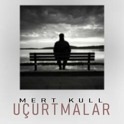 Uçurtmalar