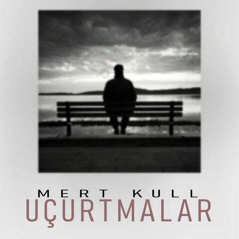 Uçurtmalar