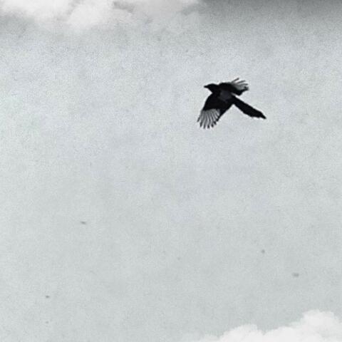 Time Alone