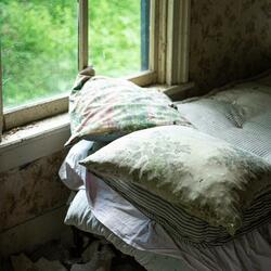 Black River Dreaming