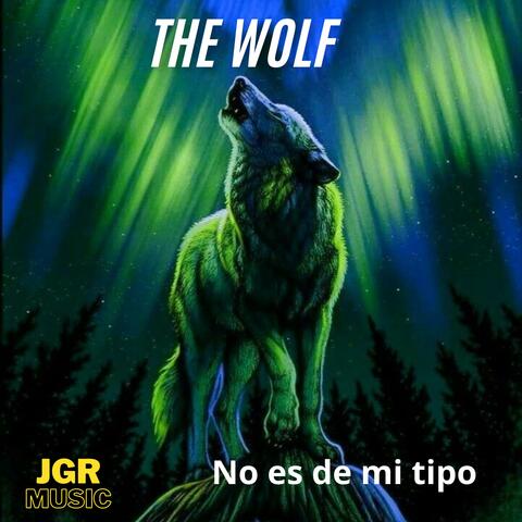 No es de mi tipo