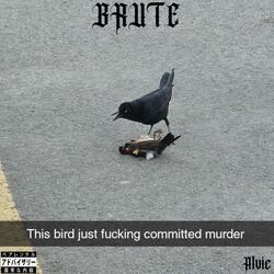 BRUTE