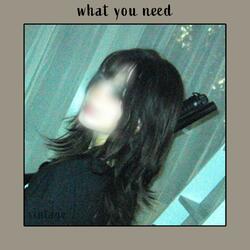 What you need
