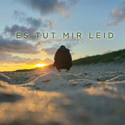Es Tut Mir Leid (feat. Tonee Jukeboxx)