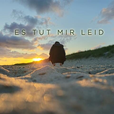Es Tut Mir Leid (feat. Tonee Jukeboxx)