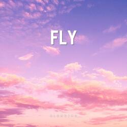 Fly