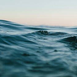 OCEAN SOUNDS