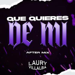 Que Quieres De Mi  (AfterMix)